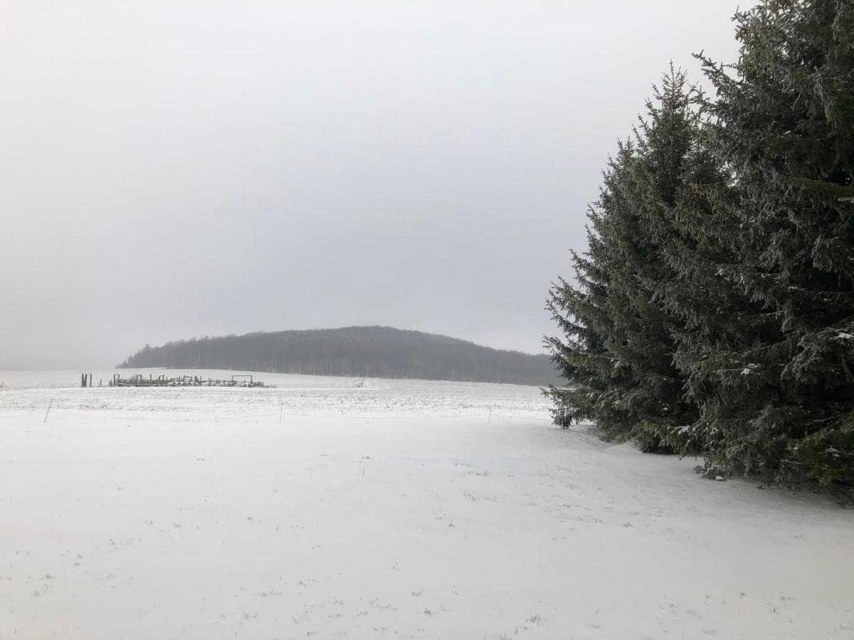 Pod Slunecnou * Detrichov Nad Bystrici